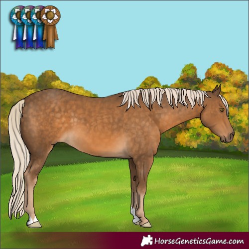 Horse Color:Chocolate Palomino 
