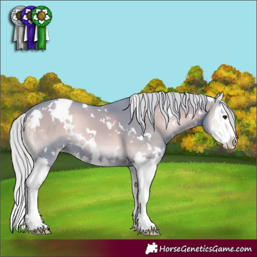 Horse Color:Watercolor White Spotted Silver Blue Onyx Chinchilla Splash 