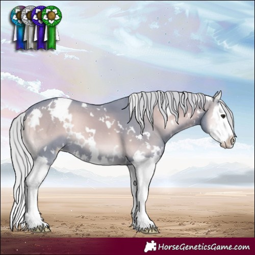 Horse Color:Watercolor White Spotted Silver Blue Onyx Chinchilla Splash 