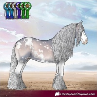 Horse Color:Watercolor White Spotted Silver Blue Onyx Chinchilla Splash