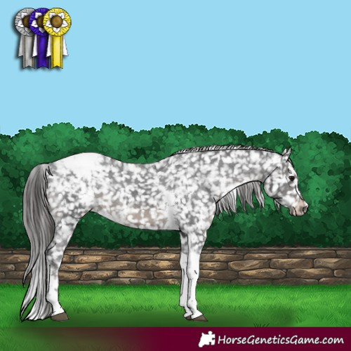 Horse Color:White Spotted Black Tobiano Snowflake VarnishRabicano 