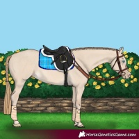 Horse Color:Perlino Dun 