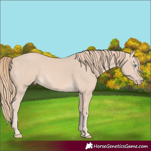 Horse Color:Perlino 