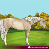 Horse Color:Silver Buckskin Pearl Splash