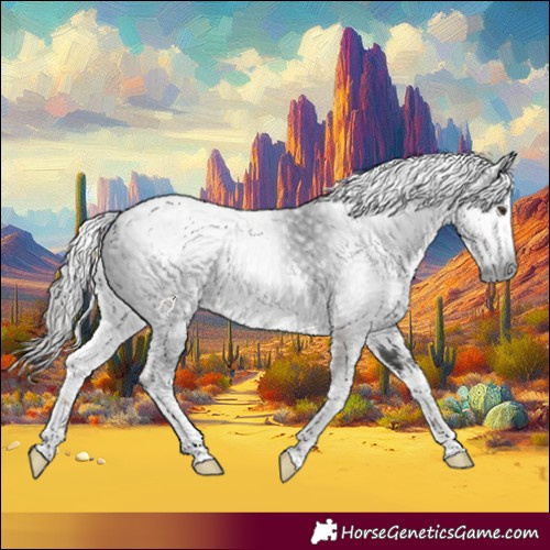 Horse Color:Gray White Spotted Liver Chestnut 