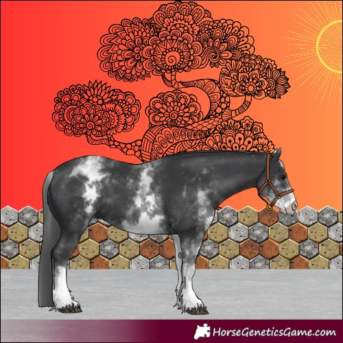 Horse Color:White Spotted Black 