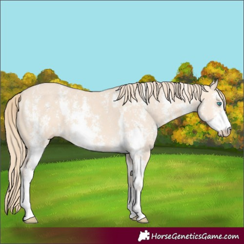 Horse Color:Perlino Sabino  and Perlino Sabino 