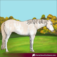 Horse Color:Perlino Sabino  and Perlino Sabino 