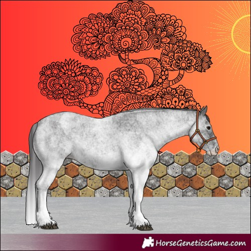 Horse Color:White Spotted Blue Roan Rabicano  and White Spotted Smoky Blue Roan Rabicano 