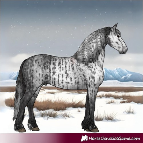 Horse Color:Smoky Black  and Gray Smoky Black 