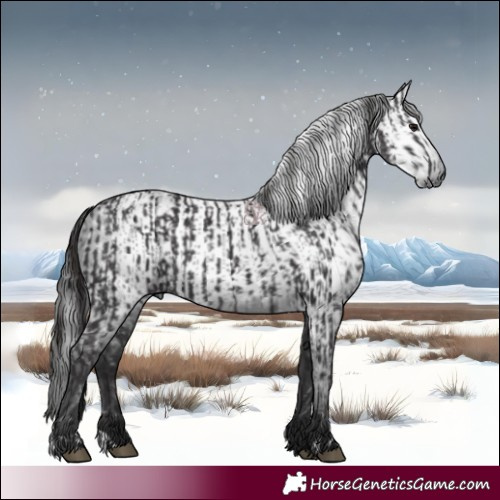 Horse Color:Smoky Black  and Gray Smoky Black 