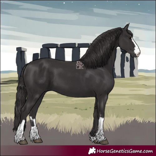 Horse Color:Smoky Black  and Smoky Black 