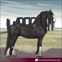 Horse Color:Smoky Black  and Smoky Black 