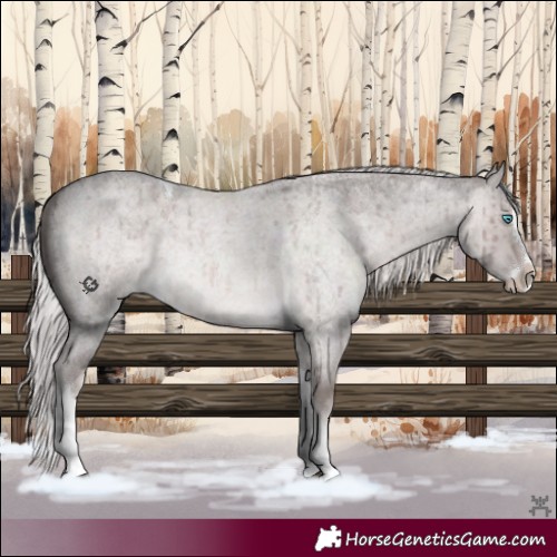 Horse Color:Platinum Chocolate Palomino Roan Dun Splash Tobiano Brindle 