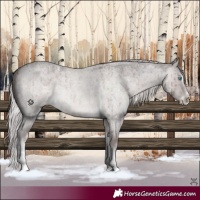 Horse Color:Platinum Chocolate Palomino Roan Dun Splash Tobiano Brindle 