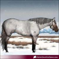 Horse Color:White Spotted Liver Red Dun Roan