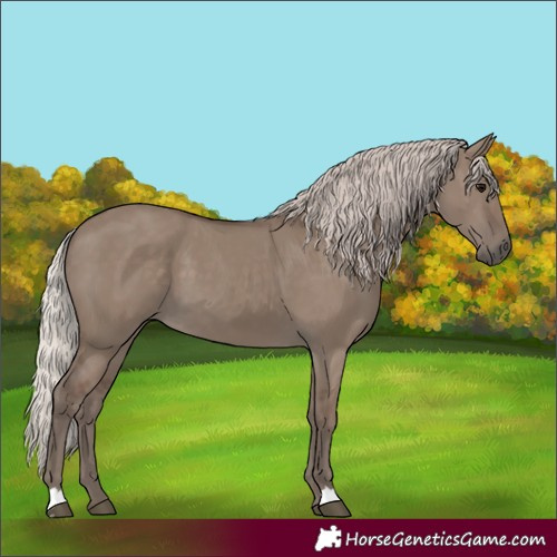 Horse Color:Silver Grullo