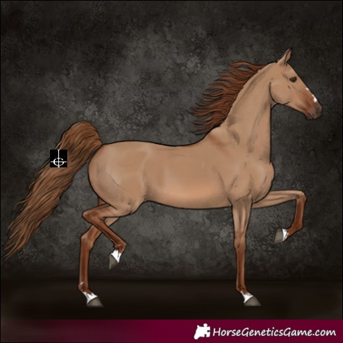 Horse Color:Red Dun 