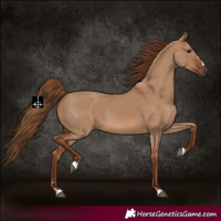 Horse Color:Red Dun 
