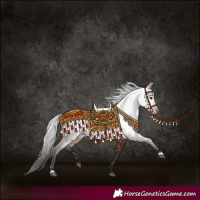 Horse Color:Gray Bay 