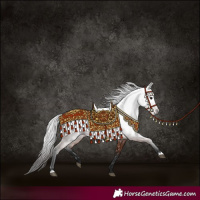 Horse Color:Gray Bay 