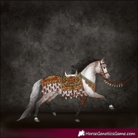 Horse Color:Gray Bay 