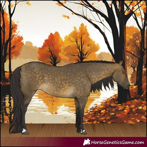Horse Color:Buckskin Dun 