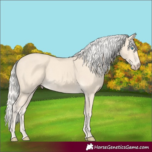 Horse Color:Cremello 