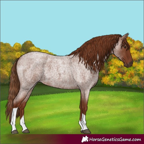 Horse Color:Red Roan Tobiano 