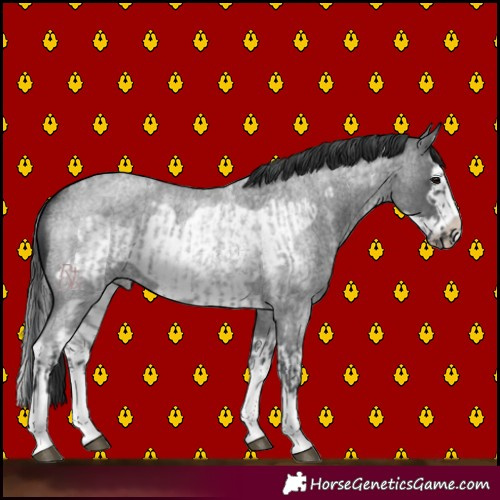 Horse Color:Blue Roan Sabino Splash  and Blue Roan Sabino Splash Frame 