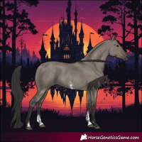 Horse Color:Smoky Grullo Sabino Rabicano 
