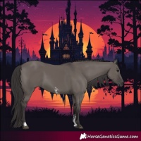 Horse Color:Smoky Grullo Sabino Rabicano 