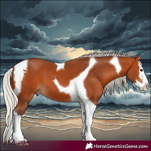 Horse Color:Silver Bay Splash Tobiano 