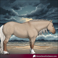 Horse Color:Silver Grullo Tobiano 