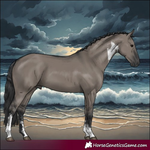 Horse Color:Grullo Sabino 