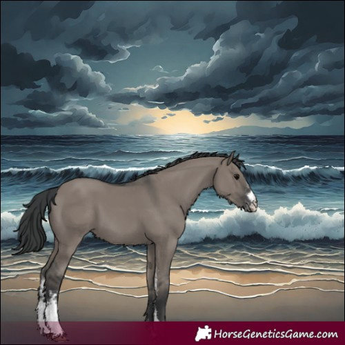 Horse Color:Grullo Sabino 