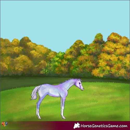 Horse Color:Watercolor Chocolate Silver Bay Onyx 