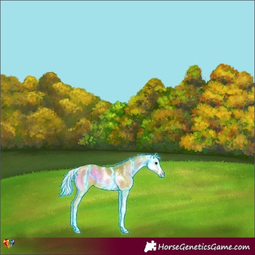 Horse Color:Thunderstruck Watercolor Chocolate Silver Bay Onyx Sabino 