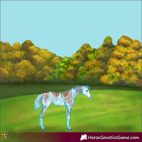 Horse Color:Thunderstruck Chocolate Silver Bay Onyx Sabino 
