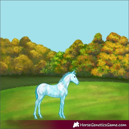 Horse Color:Thunderstruck Chocolate Bay Onyx Sabino 