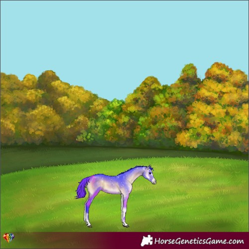 Horse Color:Watercolor Brown Onyx 