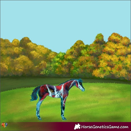 Horse Color:ERROR: UNKNOWN ANOMALY