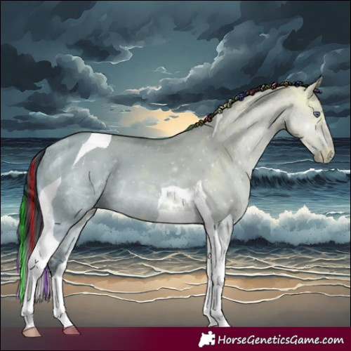 Horse Color:Painted Brown Chinchilla Ice Dun Tobiano 