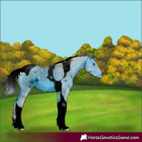 Horse Color:ERROR: UNKNOWN ANOMALY