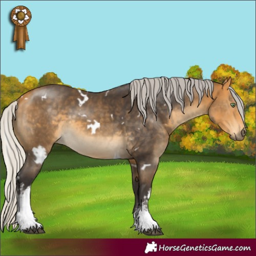 Horse Color:White Spotted Silver Buckskin 
