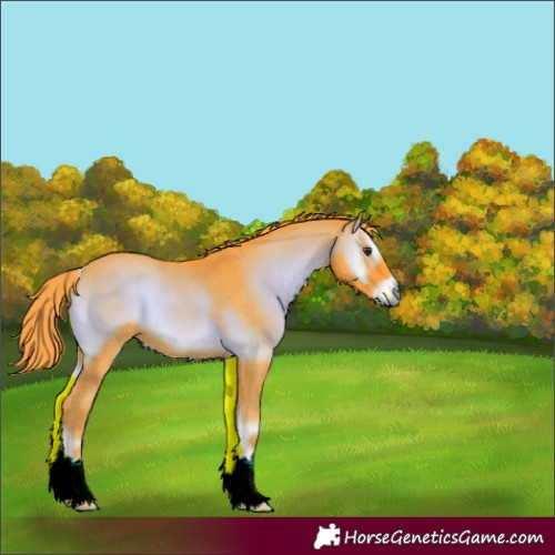 Horse Color:Watercolor Liver Red Onyx 