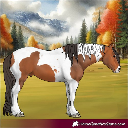 Horse Color:Bay Tobiano 