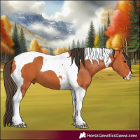 Horse Color:Bay Tobiano 