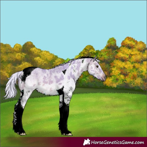 Horse Color:Watercolor White Spotted Silver Bay Ice Dun Tobiano
