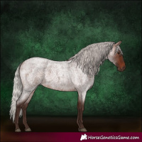Horse Color:Silver Brown Roan